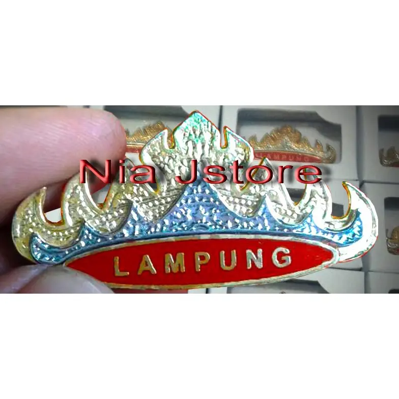 koordinator pengumpul metro lampung d4499e