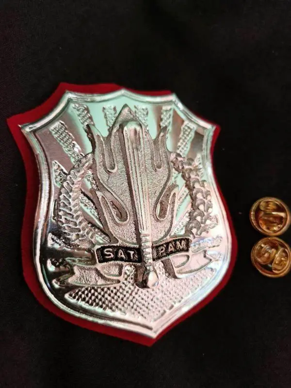 petugas keamanan dan pengawasan aset 8a7a29