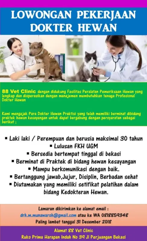 dokter hewan profesional dengan spesialisasi kesehatan hewan 6bbdc1