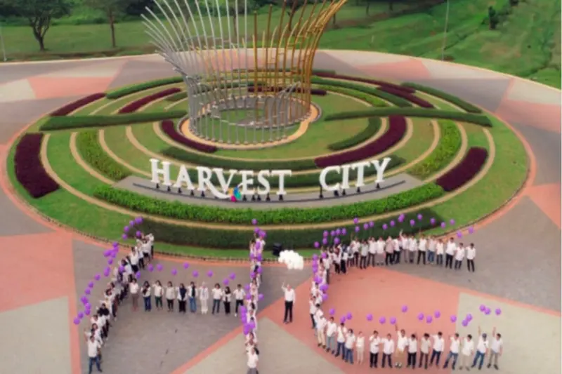 instruktur calistung harvest city 3e02cd