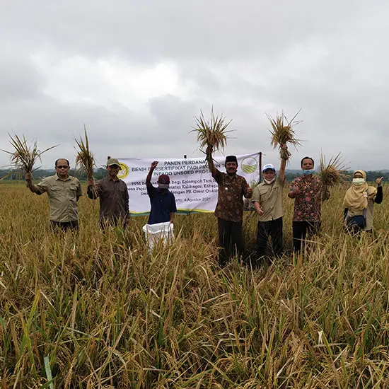 operator produksi benih padi staf area karawang c9e60b