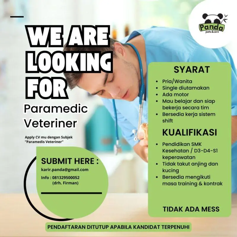 paramedis veteriner perawat hewan fc0d9f