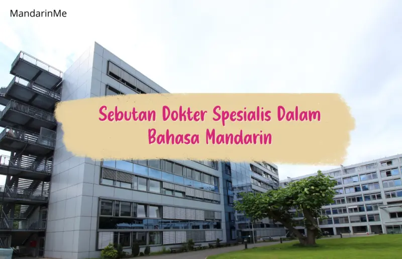 spesialis hubungan pelanggan bahasa mandarin b5172e