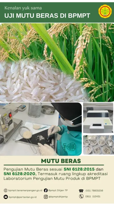 staf pengendalian mutu beras wilayah cianjur e90aa8
